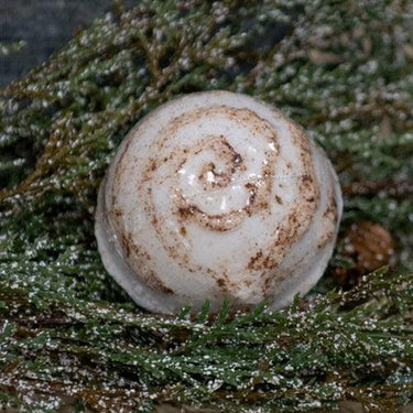 Amish Cinnabun Bath Bomb - The Fox Decor